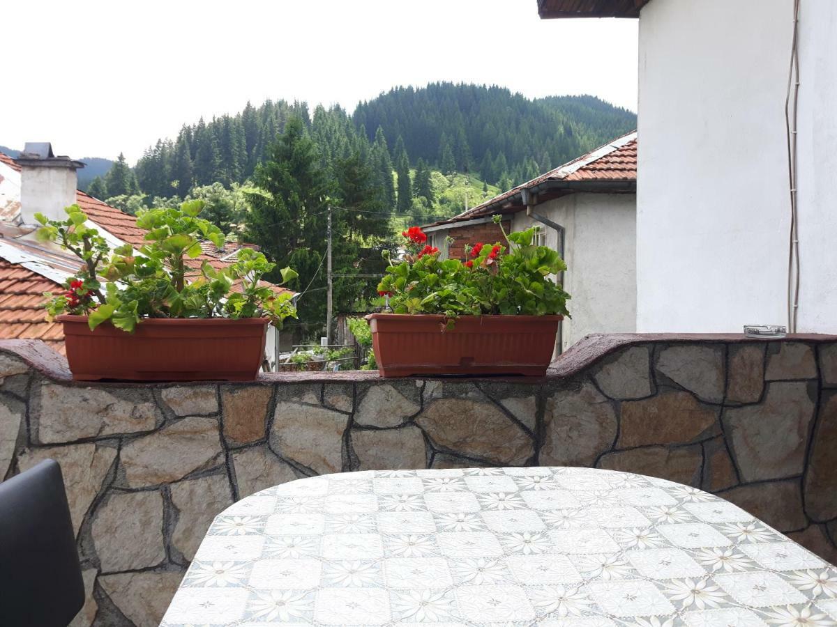 טריגראד Guest House Denitsa מראה חיצוני תמונה